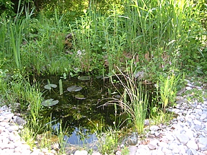 Ufer gestalten Fertigteich